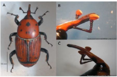 Bloque de imagen y texto